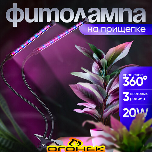 ���������� ���� ����� ��� �������� � �������� �� �������� ������ OG-LDP20