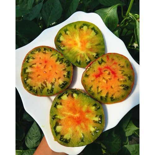 ���������� ������������� ������ ����� �����