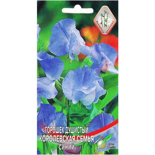 ���������� ������� �������� ����������� ����� �����, 6 �����