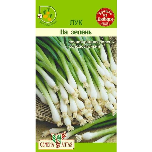 ���������� ������ ���� �� ������ �� ������ �����, �����������, 0,5 ��