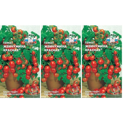 ���������� ������ ����� ��������� ������� 0,1 � (�����) , 3 ������ * 0,1 � ; �������� ��� ����������� �� ������� ��� �����������.