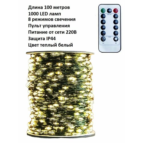  LED  :   /100 /1000 LED //  / /8  / .   , -, 