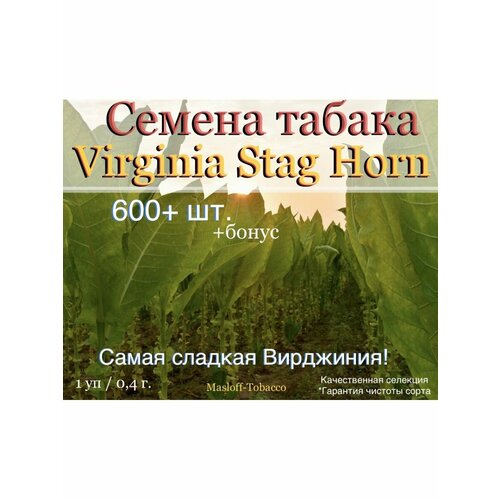���������� ������ ������ Virginia Stag Horn