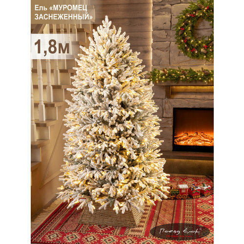 ���������� ���� ������������� ����������� � ��������� �����+��� 180 ��, ������� ��� ��� ���������, ����� ����