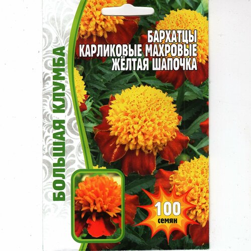 ���������� �������� ���������� �������� ����� ������� ( 1 ��: 100 ����� )