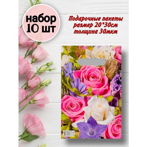 ���������� ����� ���������� ��������� ����� ��� �������� 10 ��.