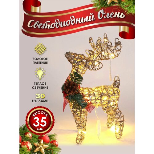 ���������� ����� ���������� ������������ ���������� 30 �� �������