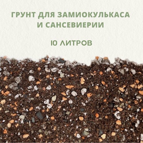 ���������� ������� ����� ��� ������������� � �����������. ����� ��� �������������.