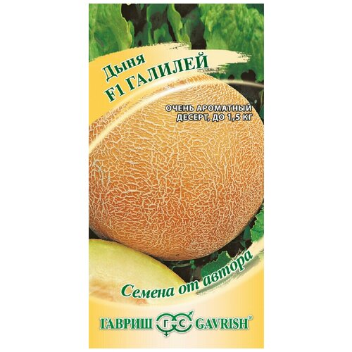 ���������� ������ ���� ������� F1, 15��, ������, ������ �� ������