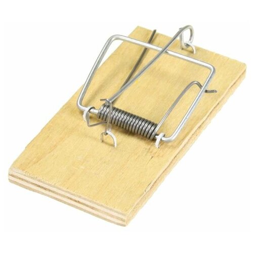 ���������� ��������� ����������