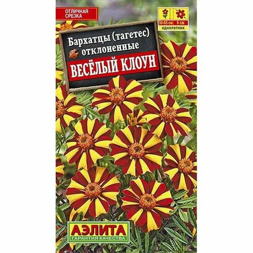 ���������� ������ �������� ������� ����� �����������, ����. (����������) (������) 0,1�