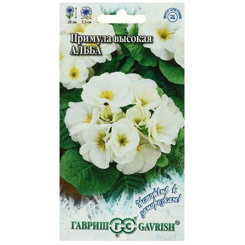 ���������� ������ ������ ������� 