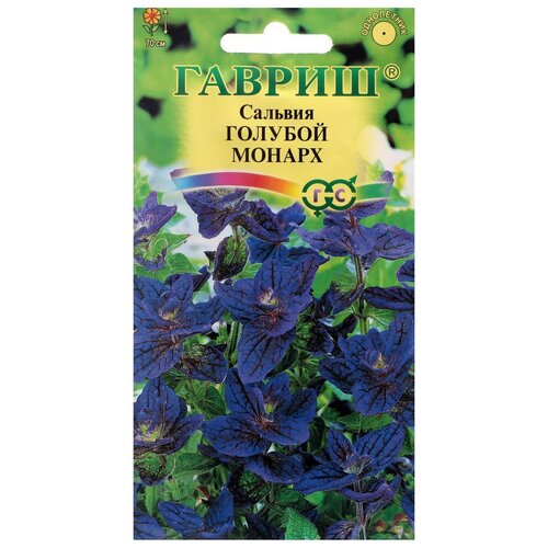 ���������� ������ ������ 