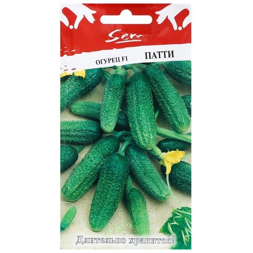 ���������� ������ ������� ������ ������ ����� F1 10 ��.