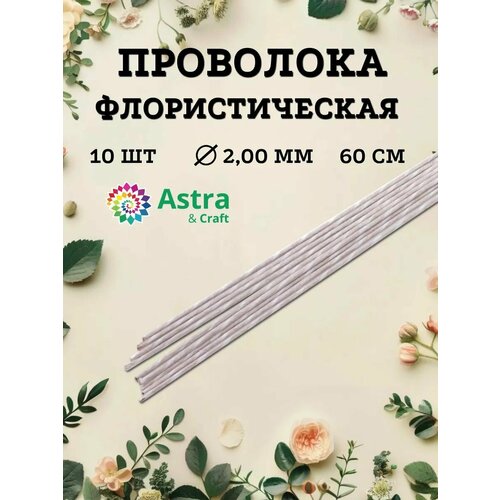 ���������� ��������� �������������� 2 ��*60 ��, 10 ��, �����, � �������� �������, Astra&Craft