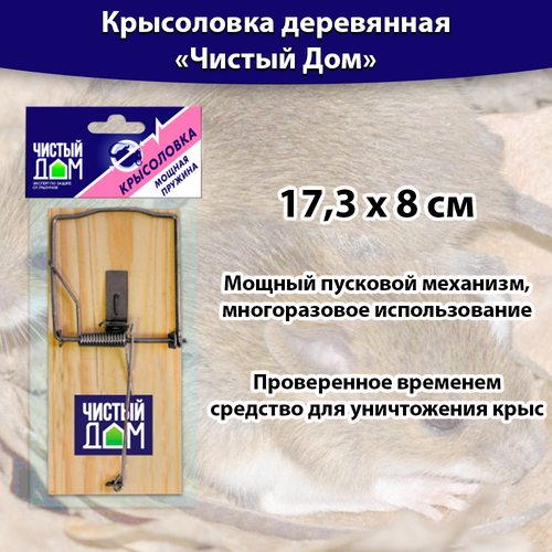 ���������� ���������� ���������� 17,3 � 8 ��, ������ ���