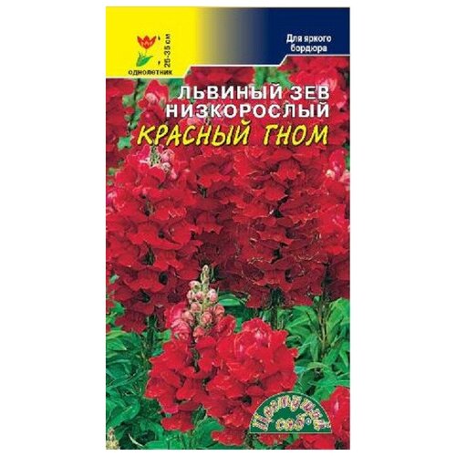 ���������� ������ �������� ��� 