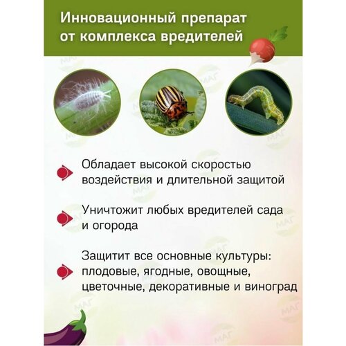 ���������� �������� ��� ������ �������� �� ���������� Avgust ��������� 10 ��