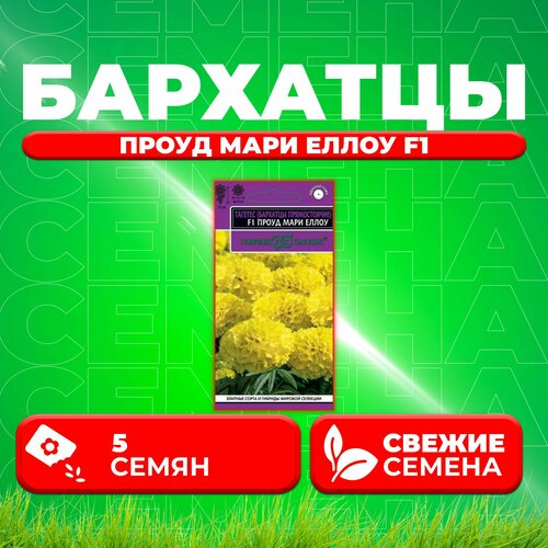 ���������� �������� ������������ (�������) ����� ���� ����� F1, 5��, ������ (1 ��)