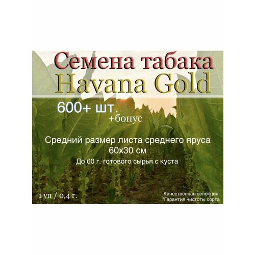   Havana Gold   , -, 