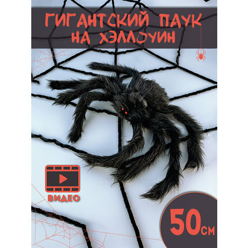 ���������� ��������� ��� ��������� �������� ���������� ����, ������ ����, ������ 50 ��