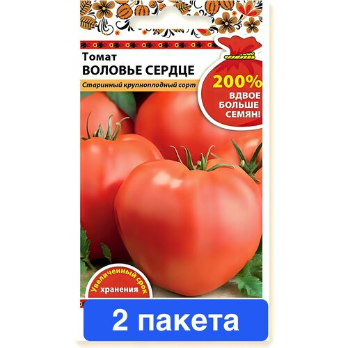 ���������� ������ ������ ������� ������ 