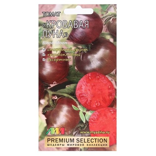 ���������� ������ ������ �.�. ����� �������� ����, 5 ��