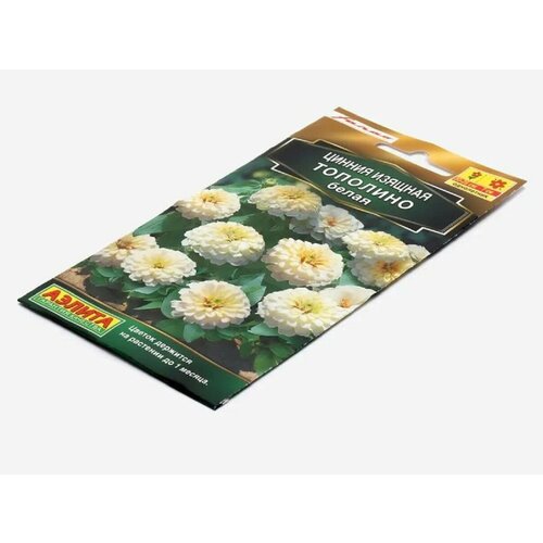 ���������� ������ �������� �����