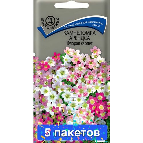 ���������� ����� ���������� ������� ������ ������ 5 �������