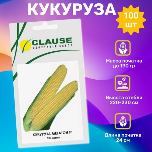 ���������� ������ �������� ������� F1 100 ��. ���������� ��������