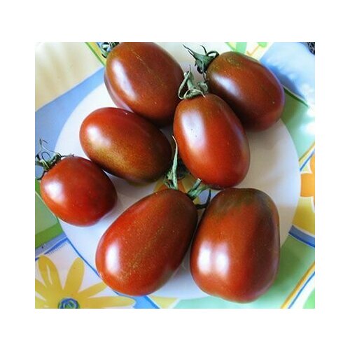 ���������� ����� ������ ���������� F (3 ��������)1, ������