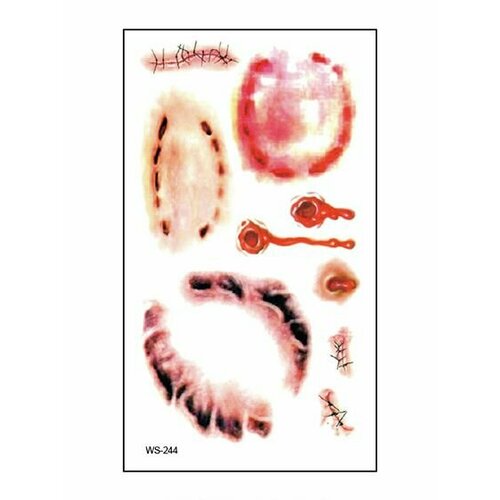 ���������� ���������� ��������� ���� ����� � ���� �� �������� / 10 � 6 �� ����