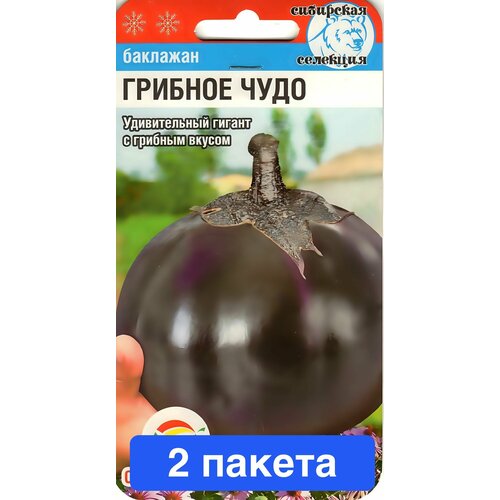 ���������� ������ ������ ��������� ��� 