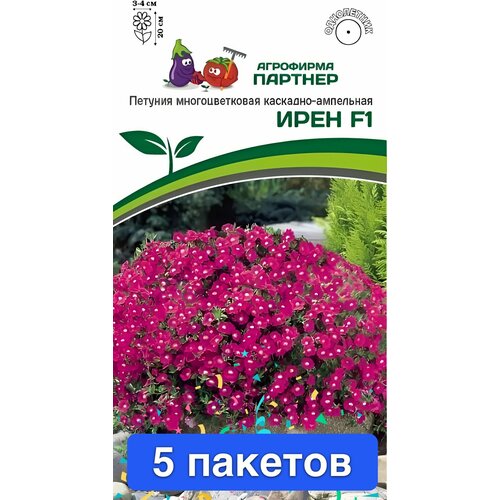 ���������� ����� ������� ������ ���� F1 5 �������