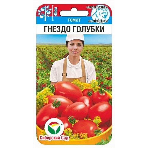 ���������� ������ ����� ������ ������� 20�� ��� ������ (��������� ���)