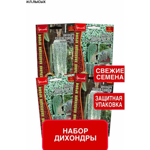 ���������� ����� ����� ��������