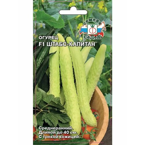 ���������� ������ 