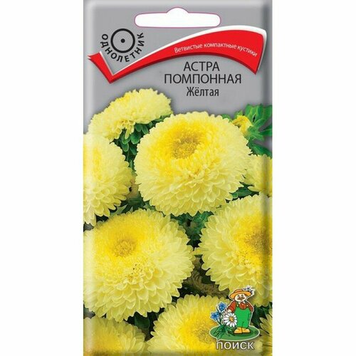 ���������� ������ ����� ������ ��������� 0,3� ��� 55�� (�����)