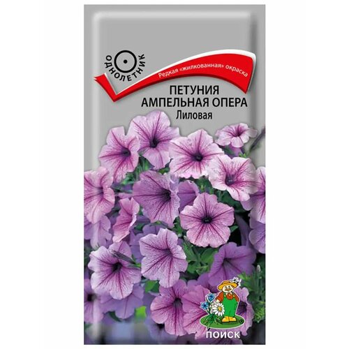 ���������� ������ ����� ������� ��������� ����� ������� 5 ��.