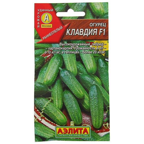 ���������� ������ ������ 