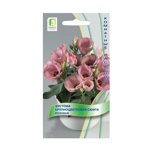 ���������� ������ ������� ����� ����� ��������������� ������� 5 ��