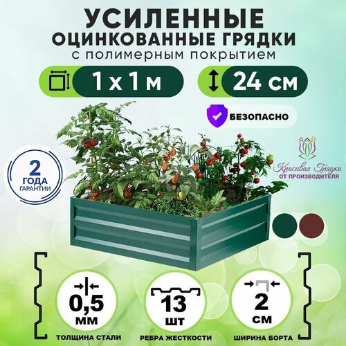 ���������� ������ ������������ �� ���� � ���������� ��������� ��������� 1�1 ���� / ���������� ������������� ��� �������� � ������� � �������� ����� / ������ ��� ���� � ������� ������ ����� 24 ��