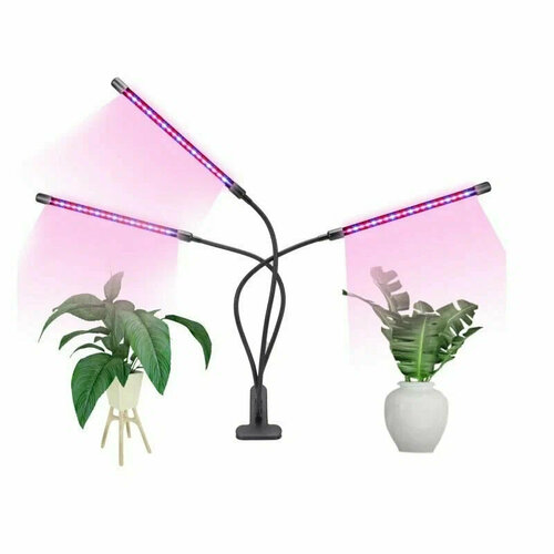 ���������� ��������� �� ��������� - 3 ����� � ���������