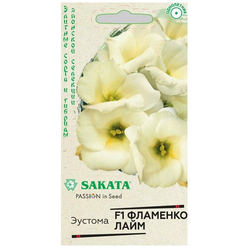 ���������� ������ ������� 