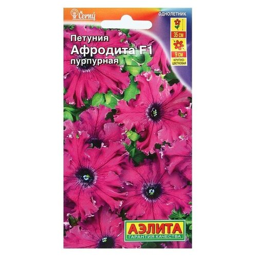 ���������� ������ ������� �������� F1 ��������� ��������������� �����������, 10 ��