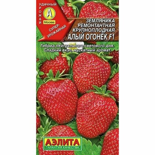 ���������� ������ ��������� ���� ������ F1 (������) 10��