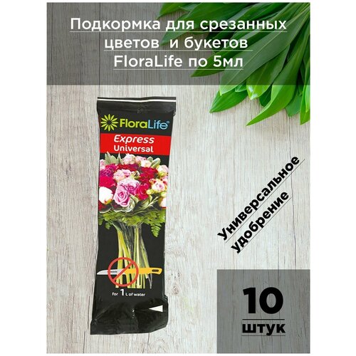   Floralife    - 10   5  /     / Oasis   , -, 