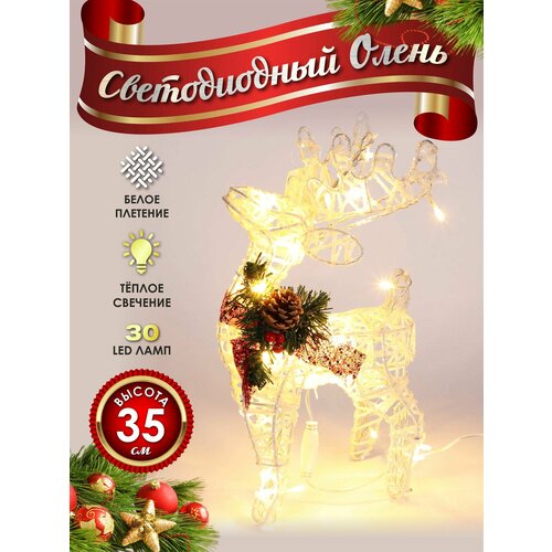 ���������� ����� ���������� ������������ ���������� 30 �� �����