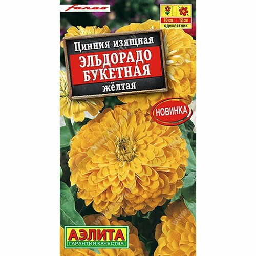 ���������� ������ ������ ��������� �������� ������, ����������, (������) 12��