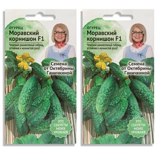 ���������� ����� ����� ������ ��������� �������� 0.3 � - 2 ��.